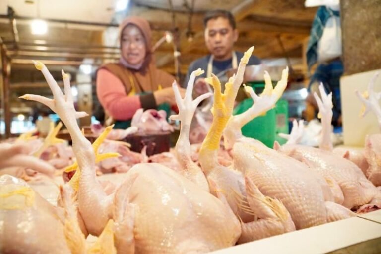 Bapanas Subsidi Ongkos Kirim Daging Ayam ke Daerah yang Kekurangan Pasokan